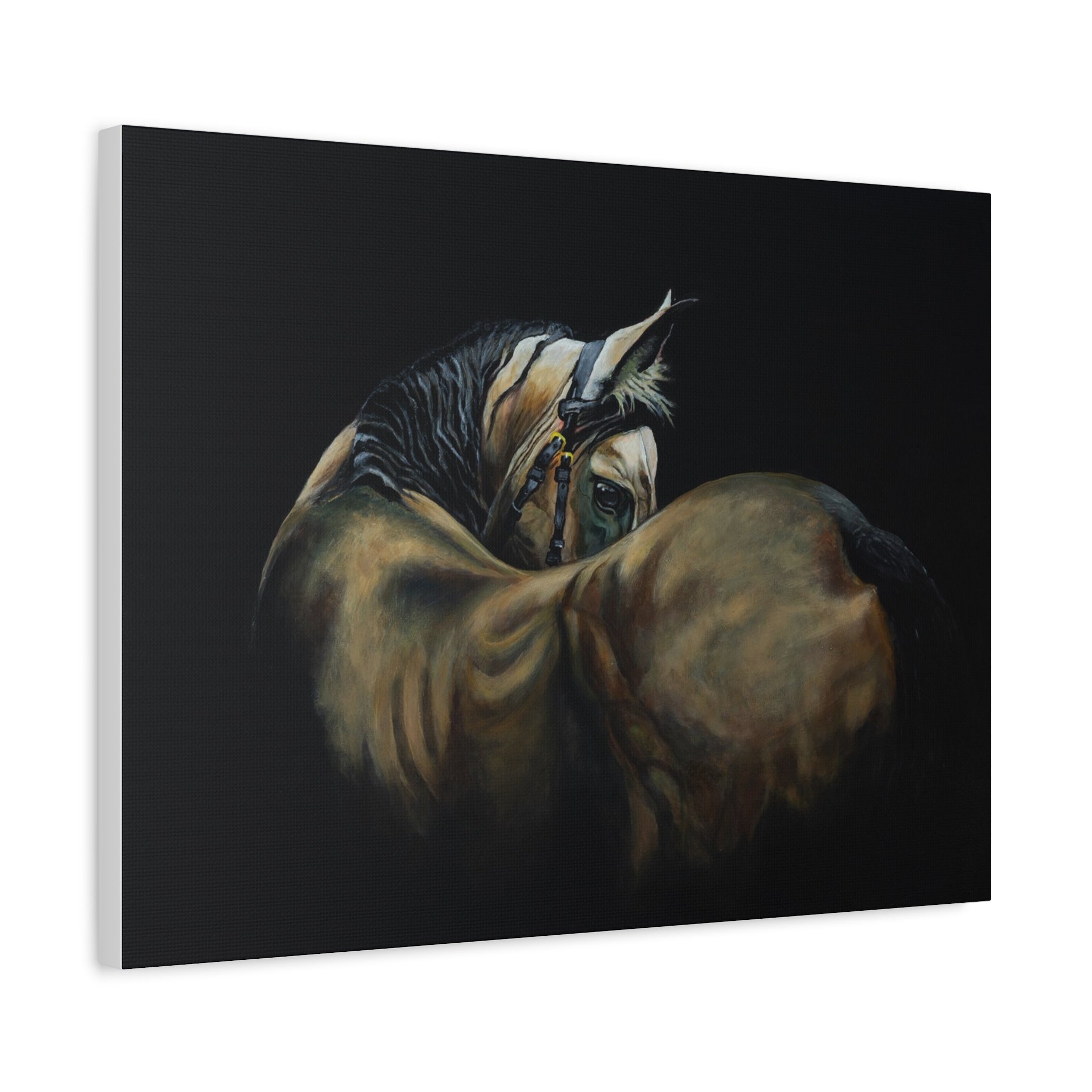 Horse Portrait Canvas Print — Matte Stretched Wall Art (1.25")