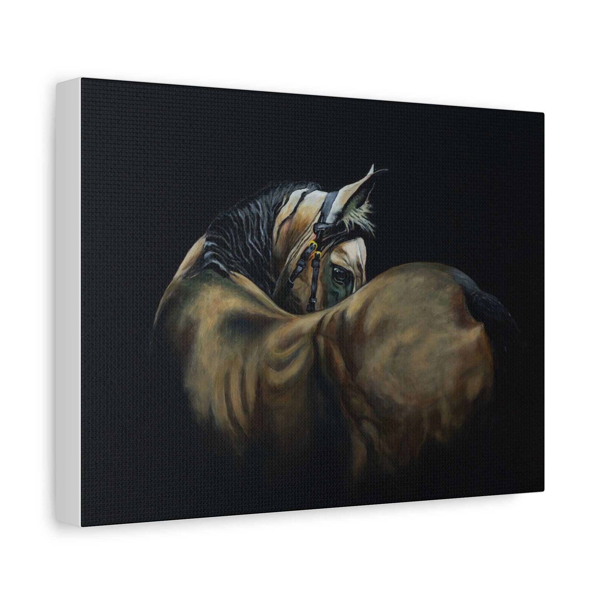 Horse Portrait Canvas Print — Matte Stretched Wall Art (1.25")
