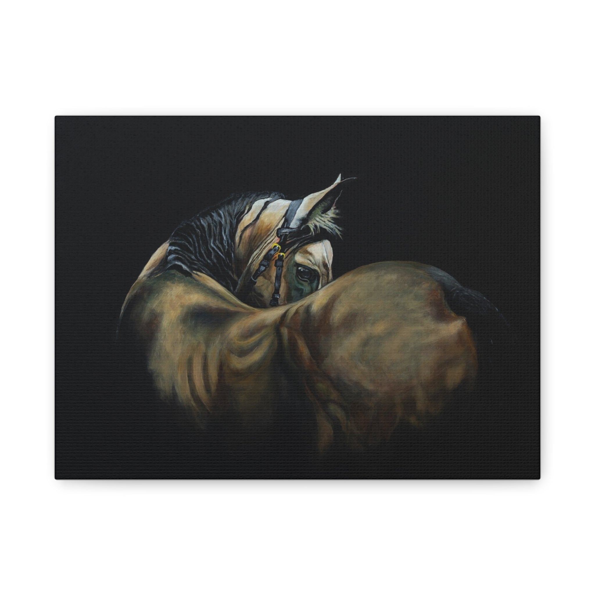 Horse Portrait Canvas Print — Matte Stretched Wall Art (1.25")