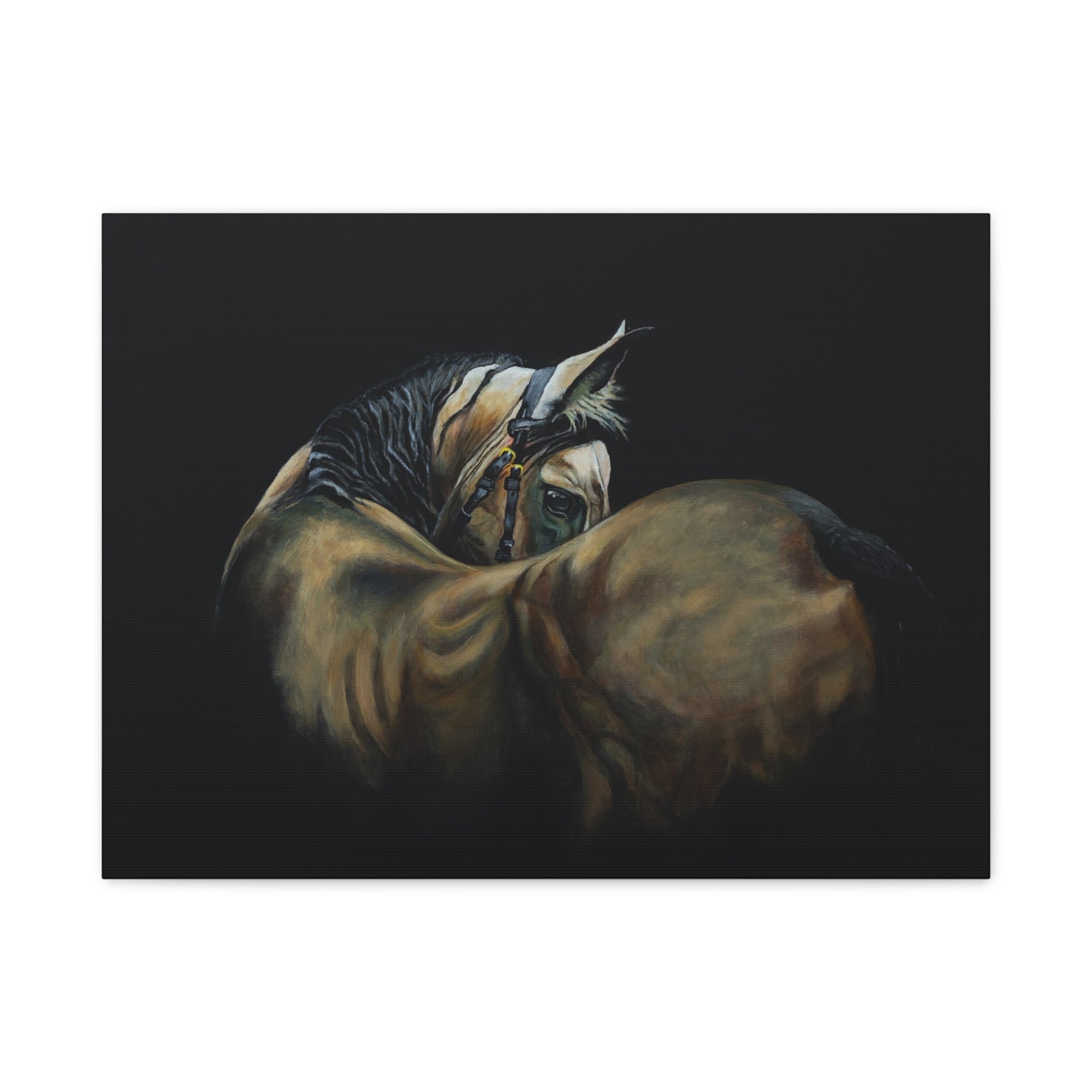 Horse Portrait Canvas Print — Matte Stretched Wall Art (1.25")