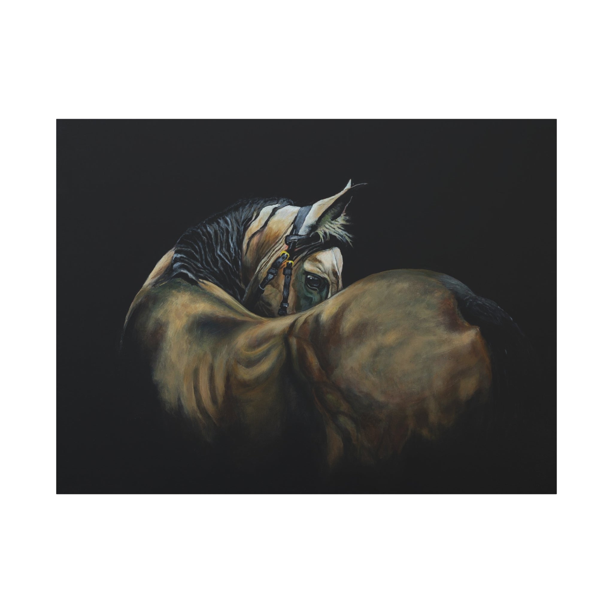 Horse Portrait Canvas Print — Matte Stretched Wall Art (1.25")